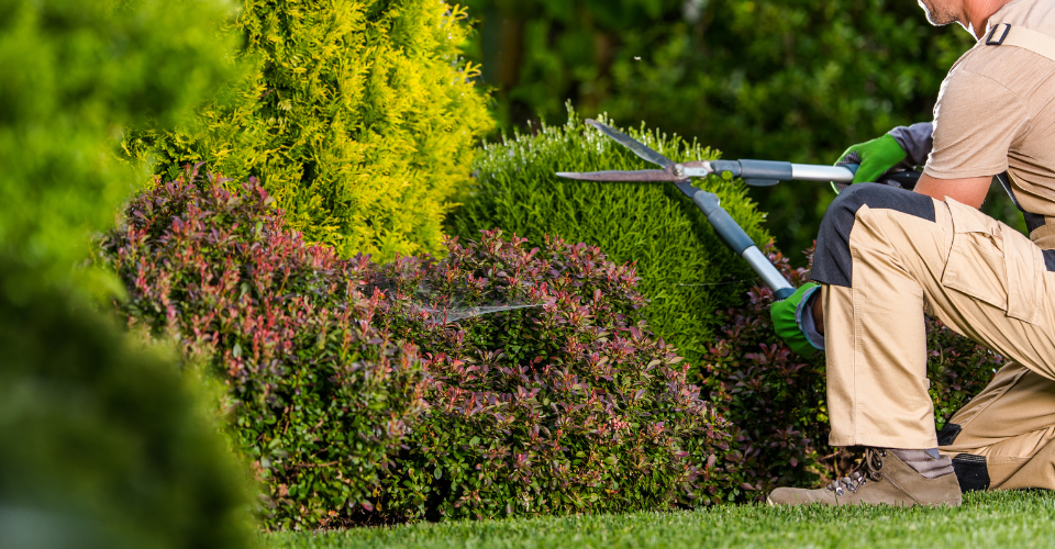 the importance of biodiversity