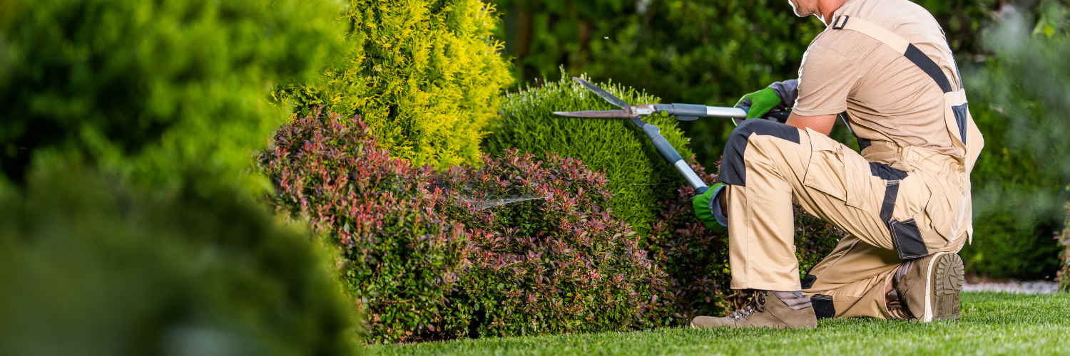 the importance of biodiversity